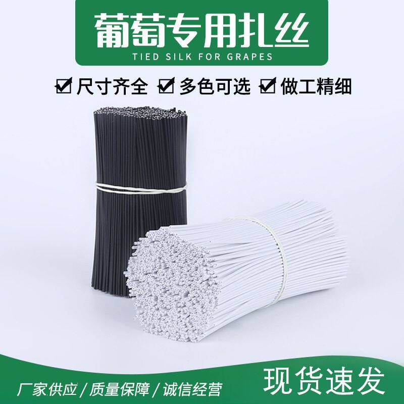 葡萄枝扎丝扎带电镀锌铁丝芯包塑铁丝园艺捆扎线捆绑带条长条