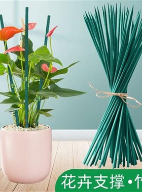 绿色竹签植d物花卉防倒支撑杆室内外绑花固定支架插花杆金钱树单