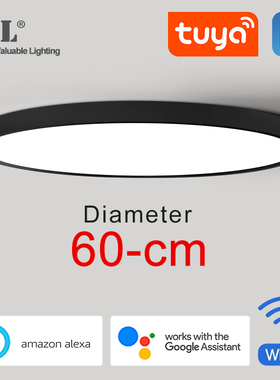 Modernc LED Smart Ceiling Light 36W 45W WiFi Tuya App Google