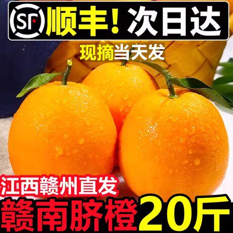 正宗赣南脐橙赣州寻乌直发20斤橙