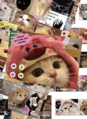 128张可爱小猫咪图案贴纸ins风高颜值手账素材手机笔记本电脑平板ipad行李箱滑板装饰防水贴画diy