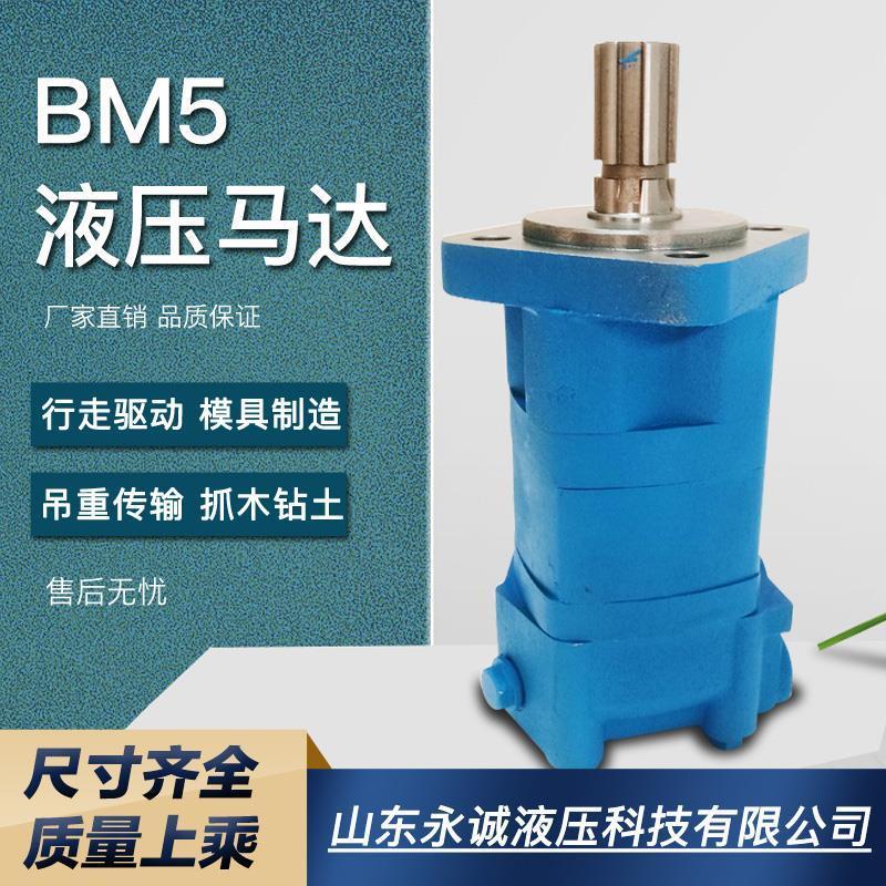 扫雪机液压马达BMS/OMS/BM5/80/100/125/160/200/250/305/400/500