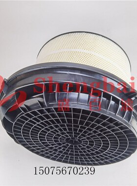 卡车空滤A0040942404空气滤芯C4I11776 AF26165