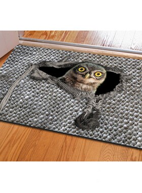 Floor Mat for Entranrce Door Anti-slip Door Carpet for Livin