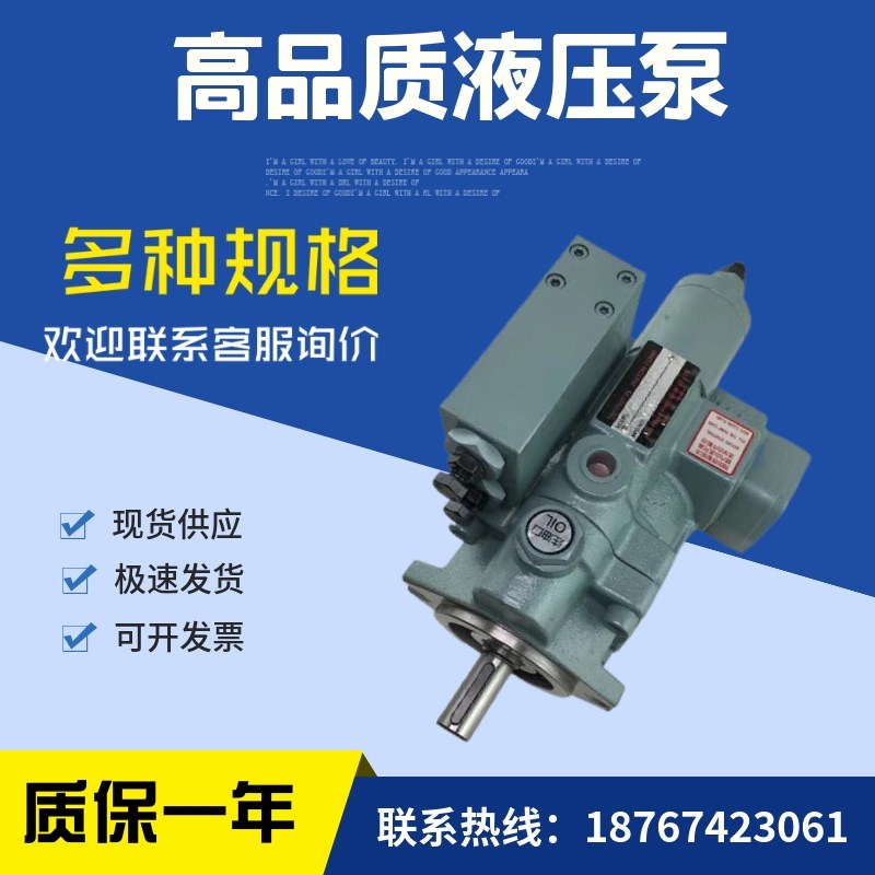 台湾柱塞泵P36-C1-A2-F-R-01, P36-C1-A3O/A4/A1-F-R-01