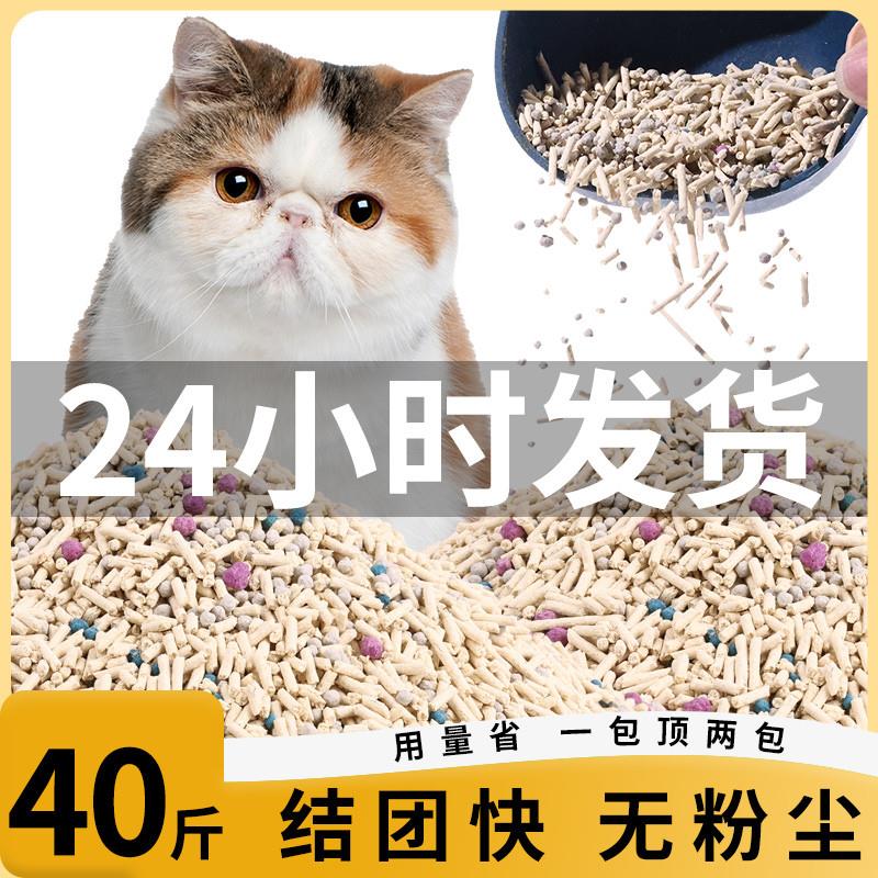 混合猫砂豆c腐砂除臭无尘包邮40斤膨润土猫沙10公斤实惠装矿砂植