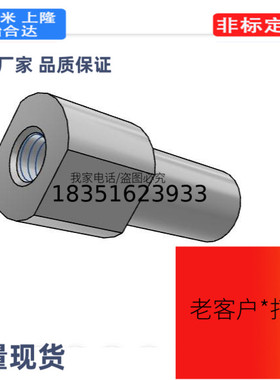 FXHB1d2-15-F22-MA5悬臂销 螺栓安装 内螺纹型 标准型