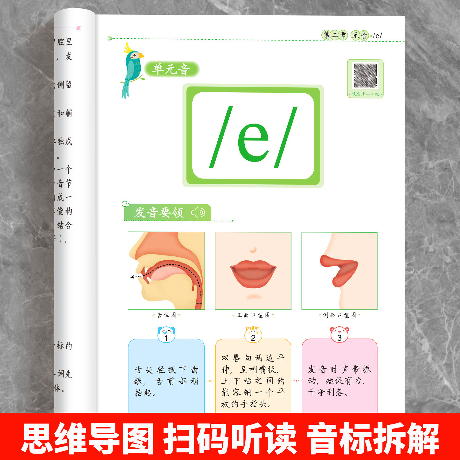 小学生音标记单词思维导图三年级四年级一二年级五六年级小学生入门教材学音标快速记单词3500词汇总表学习英语单词记背神奇