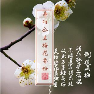 寿阳公主梅花香古法合香香粉香丸香珠天然薰香粉香包香囊填充香料