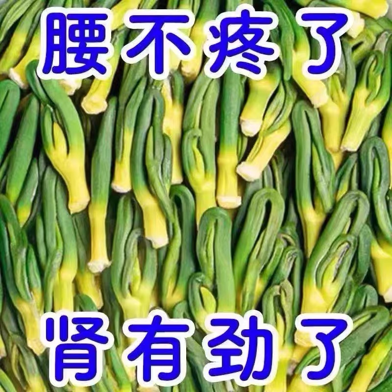 5万+人付款莲子芯下火养生茶