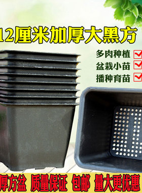 加厚特大黑方盆景天盆含托盘12cm韩式多肉盆简约方形黑色塑料花盆