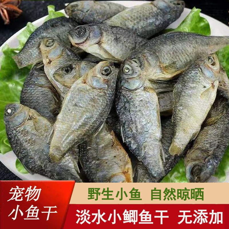 宠物零食小鱼干新鲜淡水农家小鲫鱼干猫咪零食猫吃鱼干小乌龟粮食