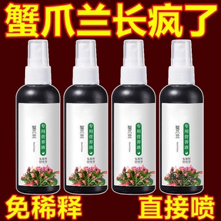 【急救软烂】蟹爪兰急救发蔫软烂去黄叶开花壮根液体肥专用营养液