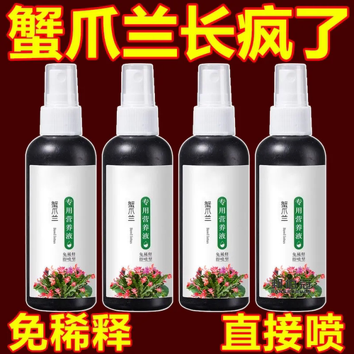 蟹爪兰一喷即绿】进口配方营养液