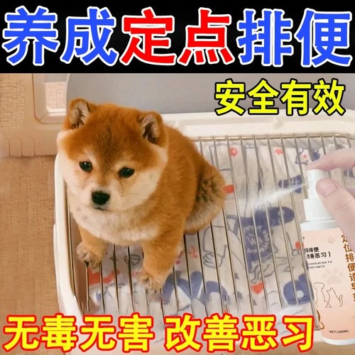 【定点上厕所】喷哪拉哪养成习惯