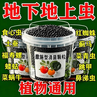 清病菌颗粒撒施型防病害瓜果蔬菜大田作物通用颗粒剂ZN