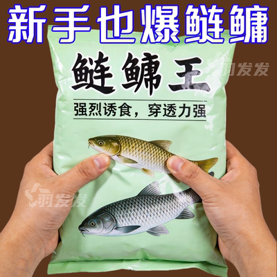 鲢鳙小药鲢鱼花鲢白鲢大头鱼饵料野钓水库鱼饵胖头鱼方块窝料酸臭