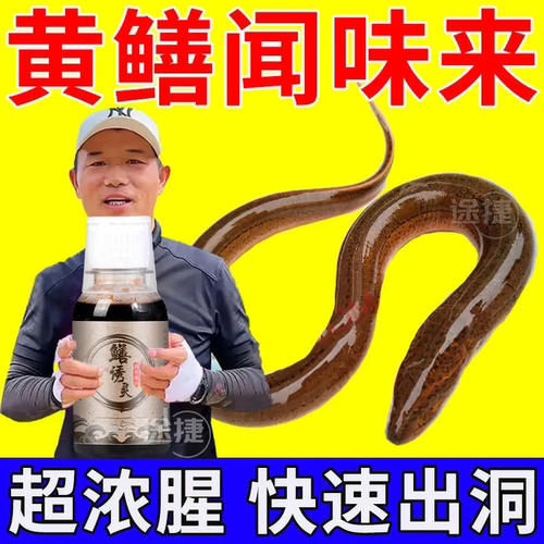 黄鳝上不停】浓缩腥香野钓不空军