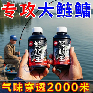 鲢鳙小药鲢鱼花鲢白鲢大头鱼饵料野钓水库鱼饵胖头鱼方块窝料酸臭