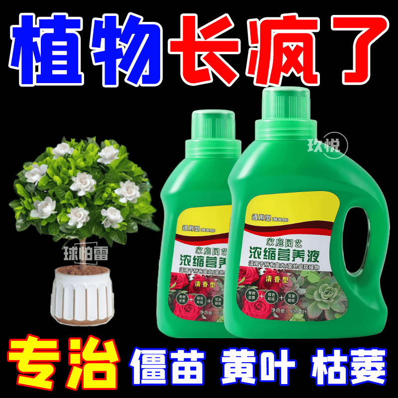 【拯救黄叶】营养液植物通用浓缩型绿箩富贵竹发财树水培养花肥料