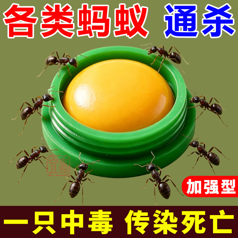 强效蚂蚁方便贴引诱巢穴蚂蚁全灭