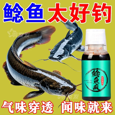 【爆护专攻】鲶鱼疯胡子鱼大口鲶埃及土鲶塘鲺诱食剂小药钓饵
