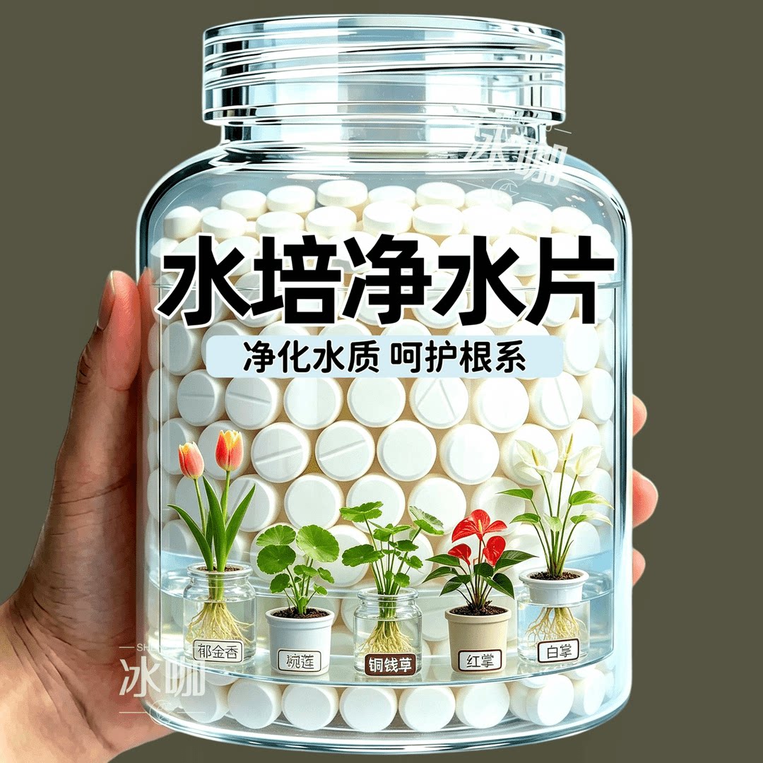 水培植物净水片鲜花花卉保鲜剂不臭水水培专用除臭片净化水质片剂