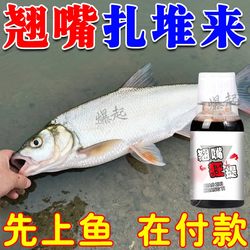 翘嘴狂提饵料添加剂翘嘴专用小药野钓黑坑钓大翘嘴专用饵料诱鱼剂,户外/登山/野营/旅行用品,台钓饵,淘宝优惠券,粉丝福利购,淘宝优惠卷