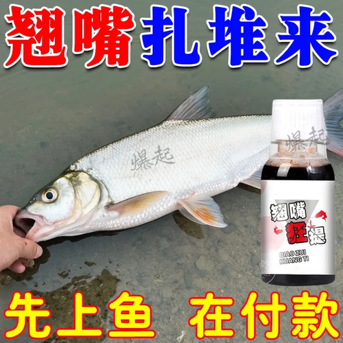 翘嘴狂提【大师推荐】猛上钩