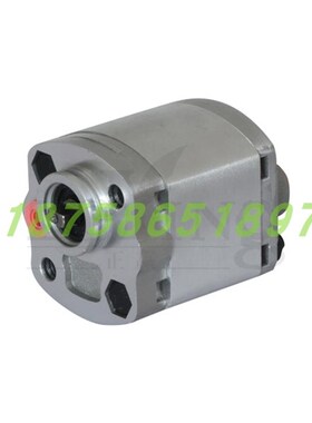 浙江正赢举升机专用齿轮z泵CBK-F233-GH