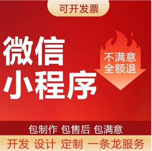 二次开发小程序定制网站建设定制开发APP