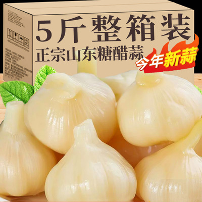 糖蒜正宗糖醋蒜蒜头腌制糖醋大蒜