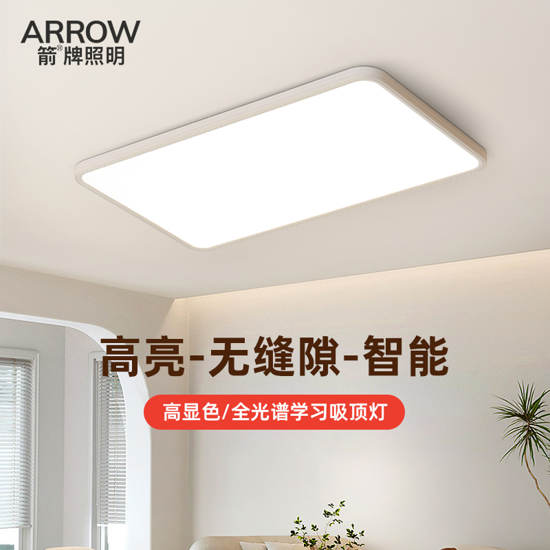 特价无安装箭牌简约客厅吸顶灯