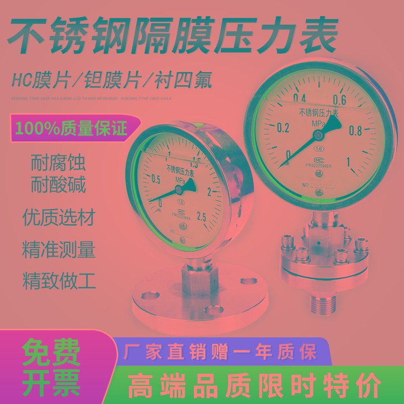 YTP100ML不锈钢隔膜压力表法兰螺纹式连接膜片DN25DN20四氟