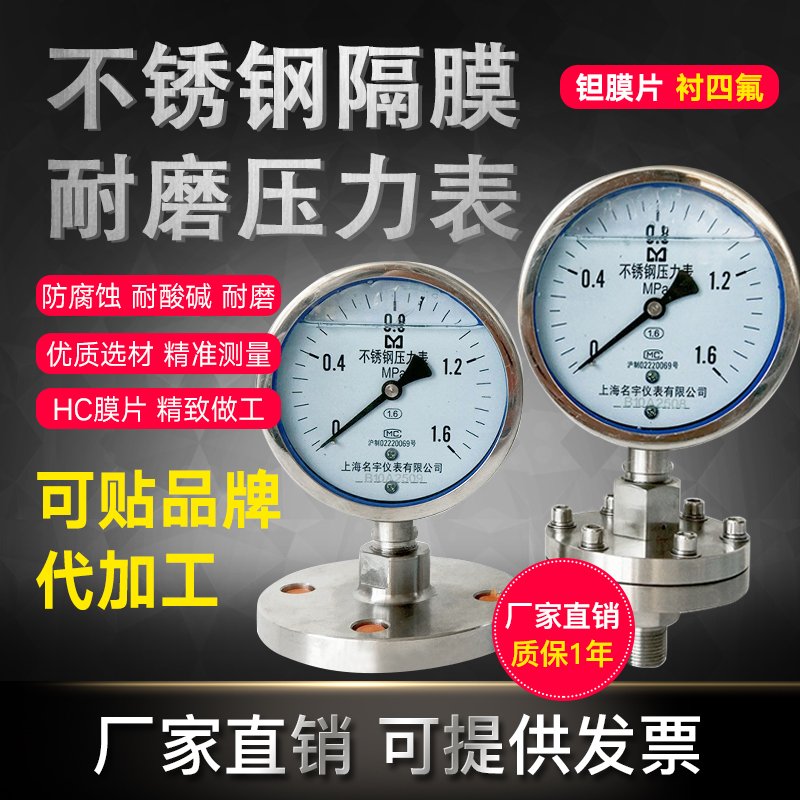 YTP100ML不锈钢隔膜压力表法兰螺纹式连接膜片DN25DN20四氟