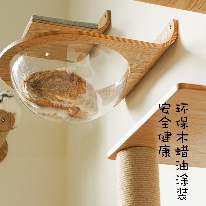 猫几只包安装实木上墙太空舱透明猫窝壁挂式组合模块X不占地猫爬
