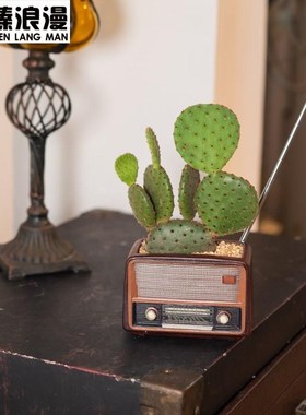 造型独特的花盆多肉花p盆轻奢高级感创意复古收音机造型摆件家居