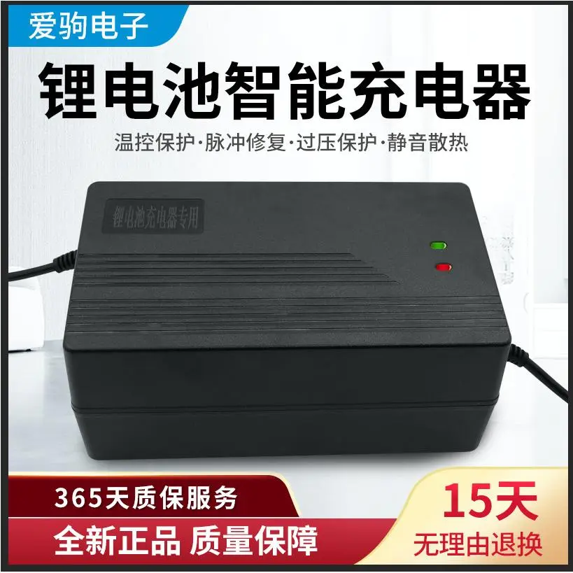16串48伏V磷酸铁锂电池电动车
