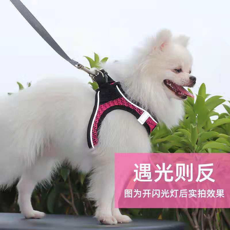 狗狗胸背带反光舒适背心式遛狗绳中小型犬网布胸背  牵引绳