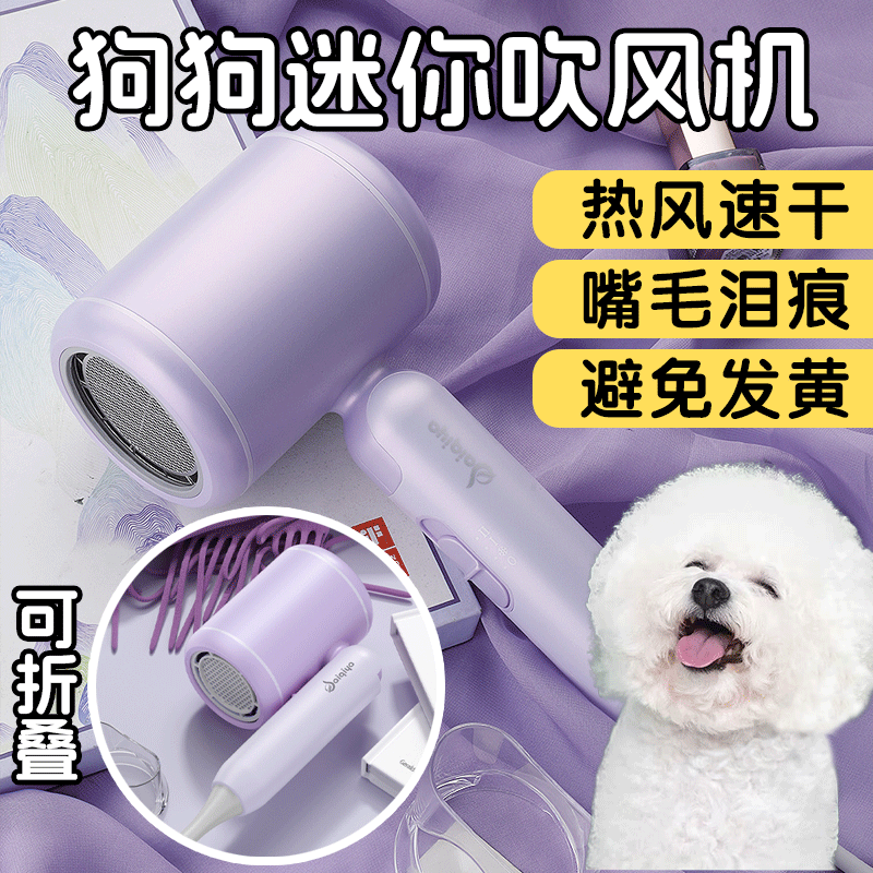 狗狗专用嘴毛吹风机热风面部脸部家用迷你小型低音宠物吹干神器