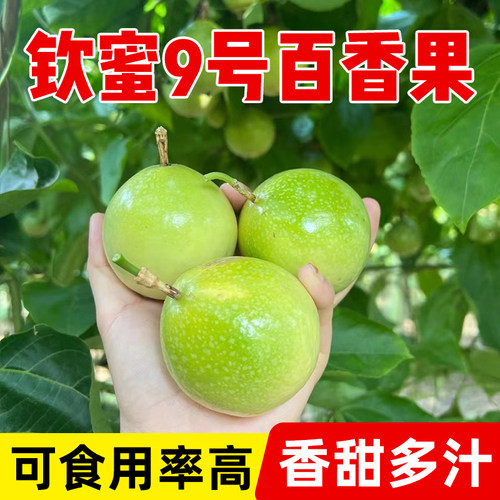钦蜜9号百香果发顺丰 满满维C酸得清爽甜得不腻 网红水果茶饮