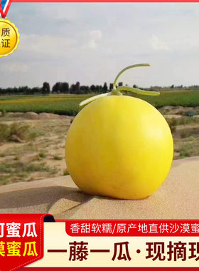 甘肃民勤蜜瓜软硬两吃果期一个月 多仓发货
