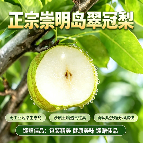 崇明翠冠梨清甜多汁沙土地东海生态种植包装精美 京东顺丰随机