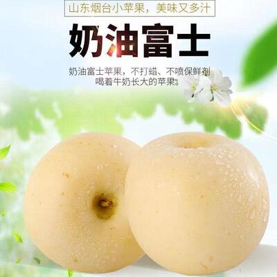 口黄金奶油富士苹果孕妇水果