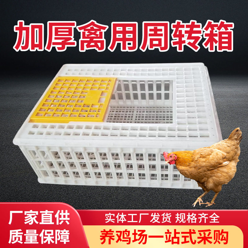 鸡笼运输笼塑料周转箱装鸡筐鸡框子鹧鸪养殖笼大型鸭鹅兔鸽子笼