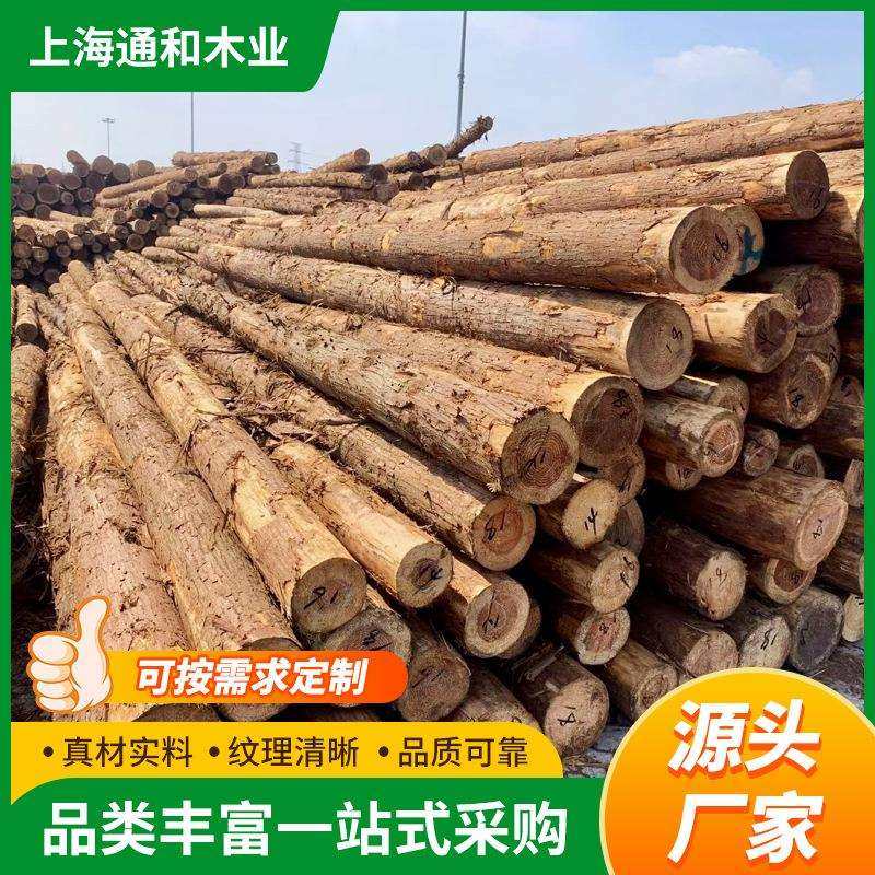 杉木桩河道驳岸打桩木护坡护堤工程木桩削尖柳杉香杉林场直发
