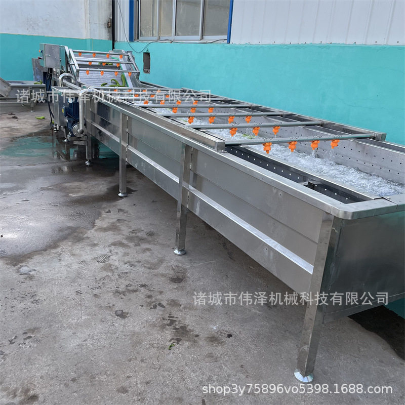 网链洗菜机果蔬气泡链板清洗机可流水线作业叶类菜清洗设备