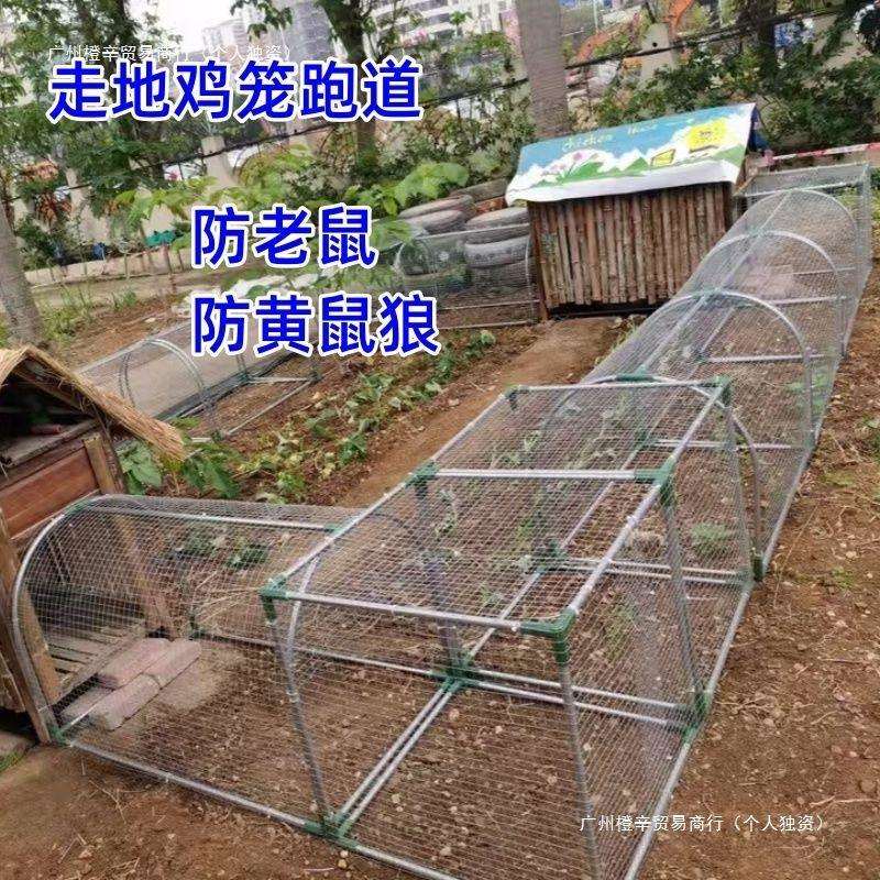 走地铁网鸡笼跑道养鸡隧道笼子农场户外溜达鸡笼子庭院农家用散养