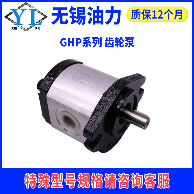 意大利马祖奇MARZOCCHI替代齿轮泵GHP1AGHP2A-D-13/16/20/22-FG