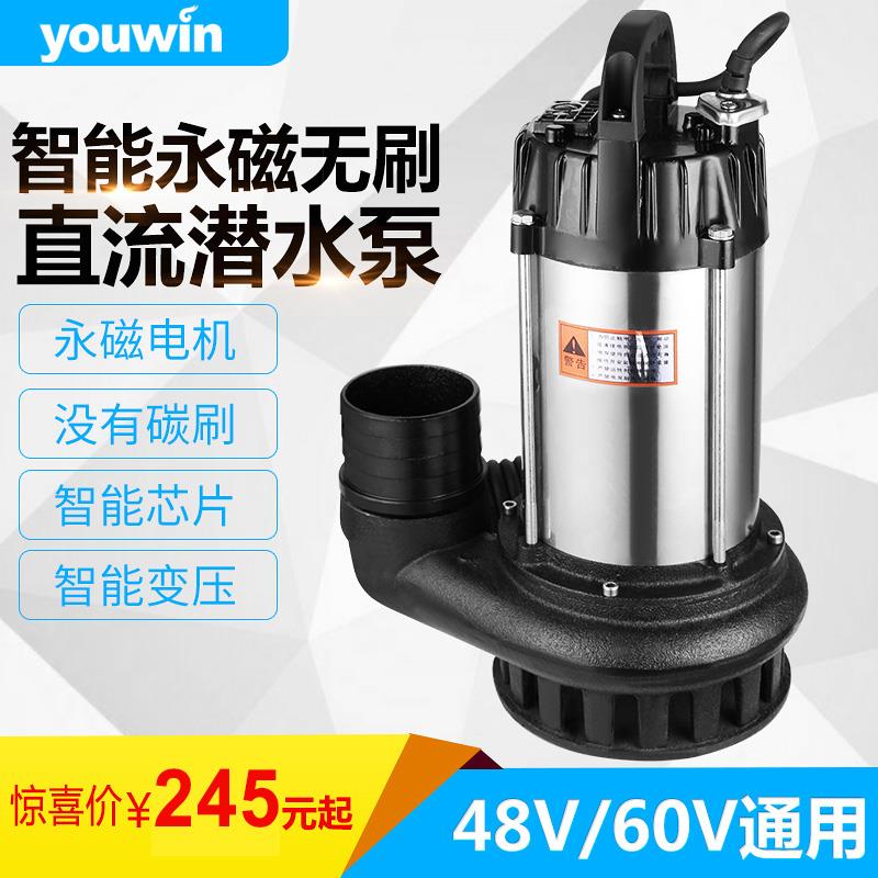 1寸2寸3寸永磁无刷直流潜水泵直流泵48V60V电动车电瓶车抽水泵